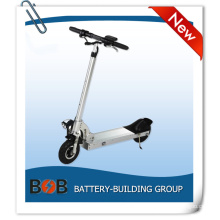 Best Performance Foldable E-Scooter with 36V 350W Rear Brushless Motor